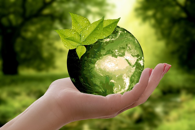Bioplásticos y Biocombustibles: Un Enfoque Circular para el Futuro
